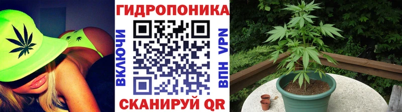 Бошки Шишки Ganja  Сальск 